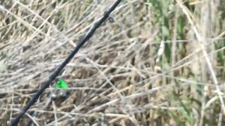 Река Аксу - трофей ищем у бровки, ночёвка на берегу