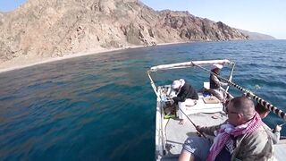 Dahab (Дахаб), South Sinai (Южный Синай) рыбалка на Красном море