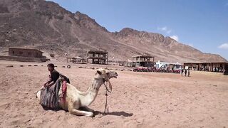 Dahab (Дахаб), South Sinai (Южный Синай) рыбалка на Красном море