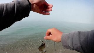 Лдзаа, Абхазия. Утренняя рыбалка рокфишинг у берега.