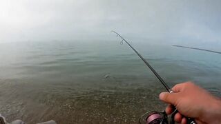Лдзаа, Абхазия. Утренняя рыбалка рокфишинг у берега.