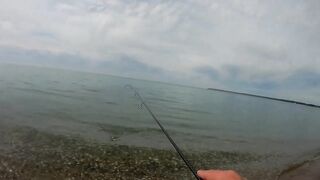 Лдзаа, Абхазия. Утренняя рыбалка рокфишинг у берега.