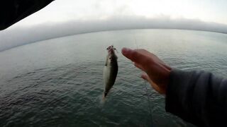 Лдзаа, Абхазия. Утренняя рыбалка рокфишинг у берега.