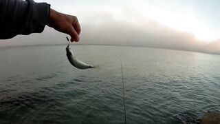 Лдзаа, Абхазия. Утренняя рыбалка рокфишинг у берега.