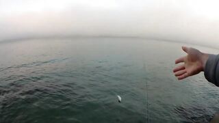 Лдзаа, Абхазия. Утренняя рыбалка рокфишинг у берега.