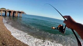 Лдзаа, Абхазия рокфишинг в октябре у берега