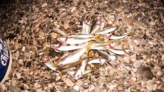 Пицунда: рыбалка с берега на закате летом 2025