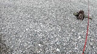 Пицунда: рыбалка с берега на закате летом 2025