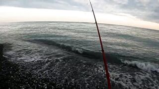 Пицунда: рыбалка с берега на закате летом 2025