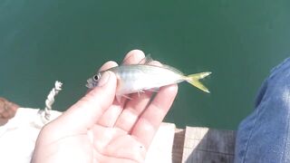 Сухум, Абхазия рыбалка с берега без спешки