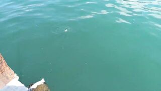 Сухум, Абхазия рыбалка с берега без спешки