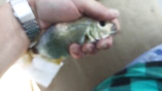 Сухум, Абхазия рыбалка с берега без спешки