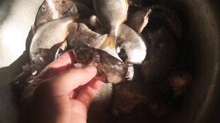 Сухум, Абхазия рыбалка с берега без спешки