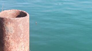 Сухум, Абхазия рыбалка с берега без спешки