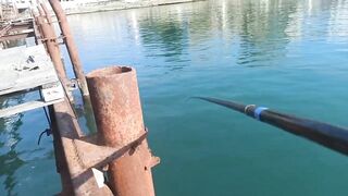 Сухум, Абхазия рыбалка с берега без спешки