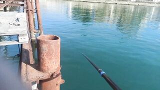 Сухум, Абхазия рыбалка с берега без спешки