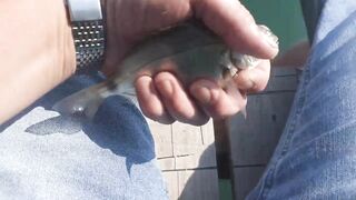 Сухум, Абхазия рыбалка с берега без спешки