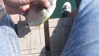 Сухум, Абхазия рыбалка с берега без спешки