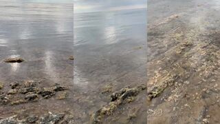 Бетта - зимний кемпинг 2022 и море в январе