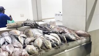 Фуджейра, ОАЭ - про лов и сети в эмиратах. Ночной рыбный рынок - репортаж.