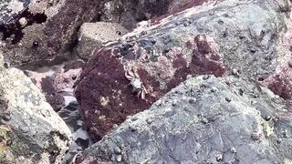 Фуджейра, ОАЭ - про лов и сети в эмиратах. Ночной рыбный рынок - репортаж.