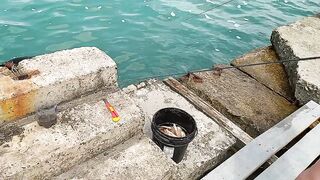 Кабардинка ловля на морского червя у берега