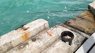 Кабардинка ловля на морского червя у берега