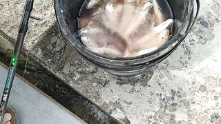 Кабардинка ловля на морского червя у берега