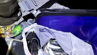 Кабардинка, ставрида у берега. Май 2025.