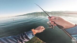 Кабардинка - летняя рыбалка в июле, берег и свал