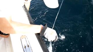 Мусандам. Охота на GT - май 2011