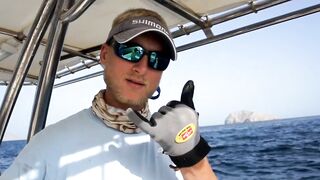 Мусандам. Охота на GT - май 2011