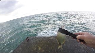 Агой - развлекалка с волнореза на Чёрном море, август 2020