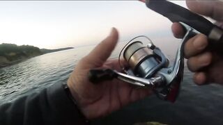 Агой - развлекалка с волнореза на Чёрном море, август 2020