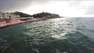 Агой - развлекалка с волнореза на Чёрном море, август 2020