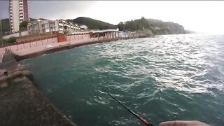 Агой - развлекалка с волнореза на Чёрном море, август 2020