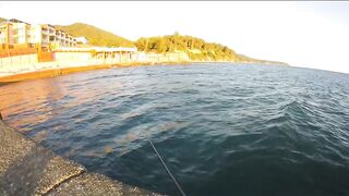 Агой - развлекалка с волнореза на Чёрном море, август 2020