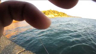 Агой - развлекалка с волнореза на Чёрном море, август 2020