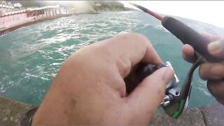 Агой - развлекалка с волнореза на Чёрном море, август 2020