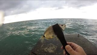 Агой - развлекалка с волнореза на Чёрном море, август 2020