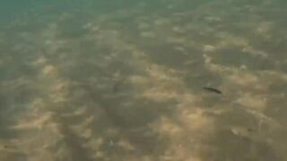 Благовещенская коса - открытие осеннего сезона, море и берег