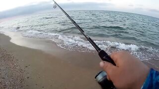 Благовещенская рыбалка 22.09.2023 у берега