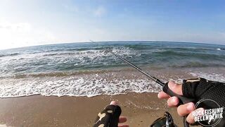 Благовещенская, ловим Саргана.