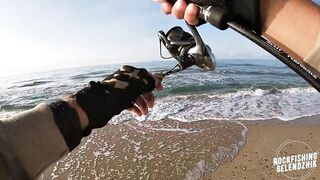 Благовещенская, ловим Саргана.