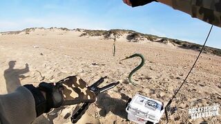 Благовещенская, ловим Саргана.