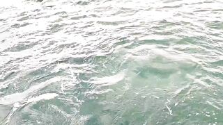 Адлер - морская рыбалка и купание в открытом море. Сочи, берег - насыщенный день