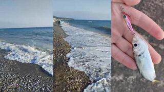 Небуг штормит что по рыбалке у берега?