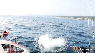 Новомихайловский - морская рыбалка у посёлка и береговые окна