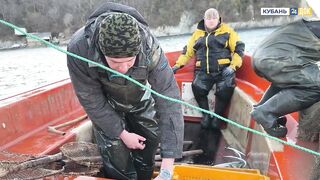 Пшада и Новомихайловский - осётр на реке и морская рыбалка