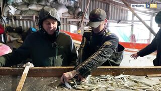 Пшада и Новомихайловский - осётр на реке и морская рыбалка